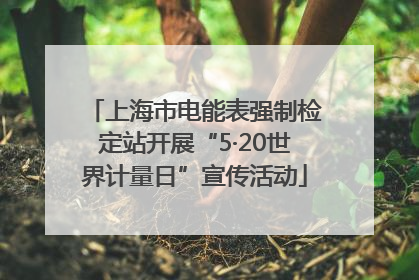 上海市电能表强制检定站开展“5·20世界计量日”宣传活动